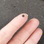 Perła Naturalna do Wklejania Czarna 3x3,5 mm Sztuka Kaboszon - 2